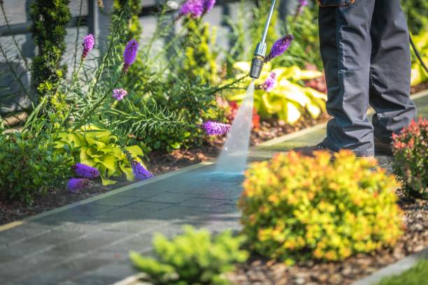Best Dumpster Area Cleaning  in Madera Acres, CA