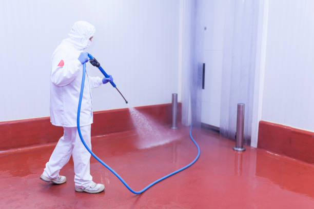 Best Paint Preparation  in Madera Acres, CA
